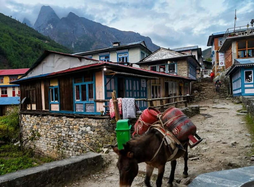 Kathmandu: 15-Day Everest Base Camp Trek with Guide - Key Points