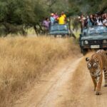 Kathmandu: 3 Days Chitwan Jungle Safari Private Tour - What We Value About This Tour