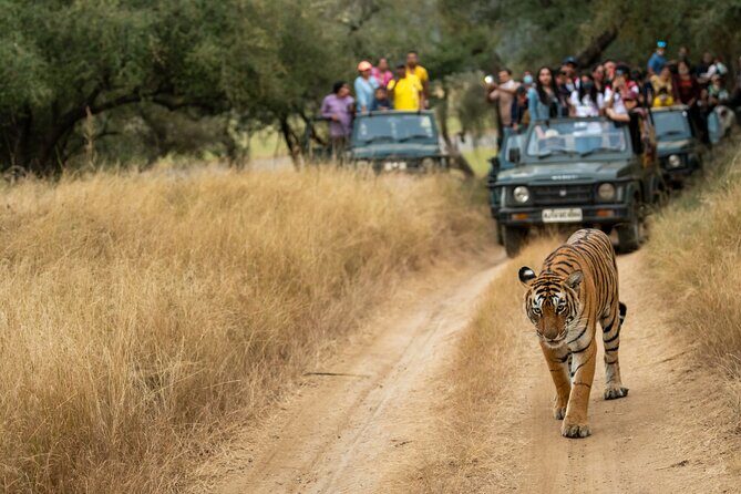 Kathmandu: 3 Days Chitwan Jungle Safari Private Tour - What We Value About This Tour