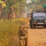 Kathmandu: 4-Day Private Chitwan National Park Safari Tour - What Makes This Tour Stand Out