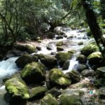 Kathmandu: Chisapani Nagarkot 3-Days 2-Nights Trek - Who Will Love This Trek?