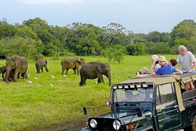 Kaudulla Jeep Safari & Dambulla Day Tour From Trincomalee - Who Should Consider This Tour?
