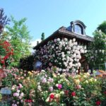 Kawaguchiko Music Forest Museum Admission Ticket - The Experience in Detail