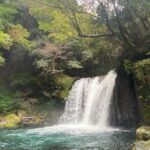 Kawazu Seven Falls Guided Tour - Price and Value Analysis