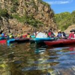Kayak Clean-up and BBQ Tour on Tottori Uradome Coast - The Kayaking and Coastal Clean-up Experience