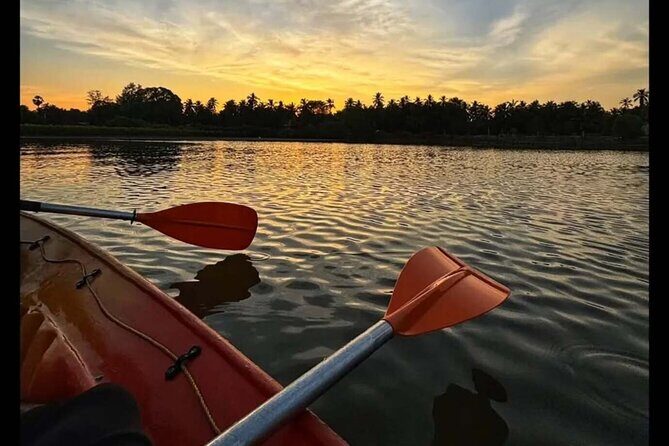 Kayak Rentals in Negombo Lagoon - The Experience in Detail