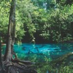 Kayaking in Ao Thalane - Discover the Mangrove life - The Sum Up: Is This Tour Worth It?