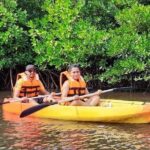 Kayaking Mangrove Adventure at Havelock - The Dive Into Nature: What to Expect from the Kayaking Mangrove Adventure