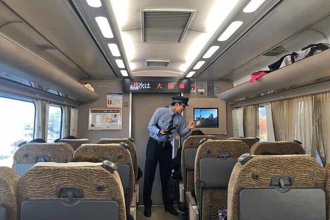 Keisei Narita Skyliner Airport Ticket - Who Will Love This?