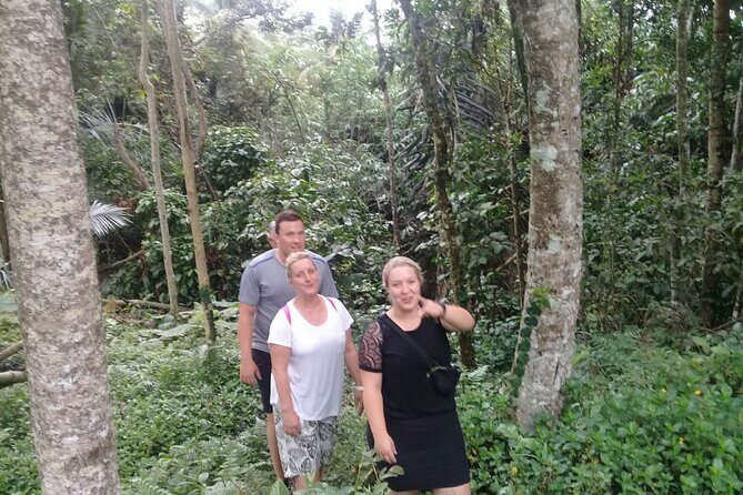 Keliki Village Tour And Rice Field Walk Including Lunch Or Dinner - The Sum Up