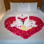 Kerala Honeymoon Special Package with Private Houseboat - A Closer Look at the Itinerary