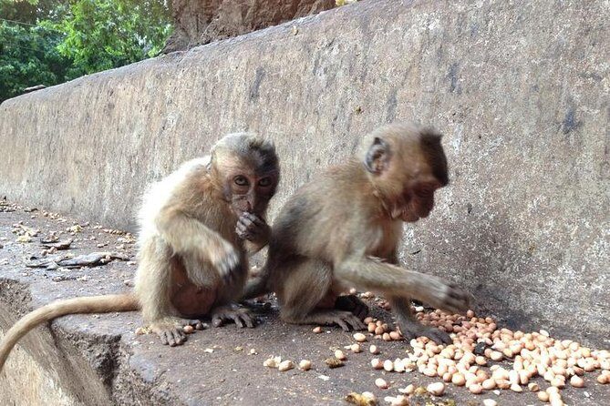 Khao Lak : Full-Day Temple Tour Including Dragon Cave - Who Should Consider This Tour?