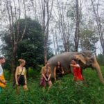 Khao Lak: Waterfall,Sea Turtle,Elephant Care,Meal & Transfer - A Detailed Look at What Youll Experience