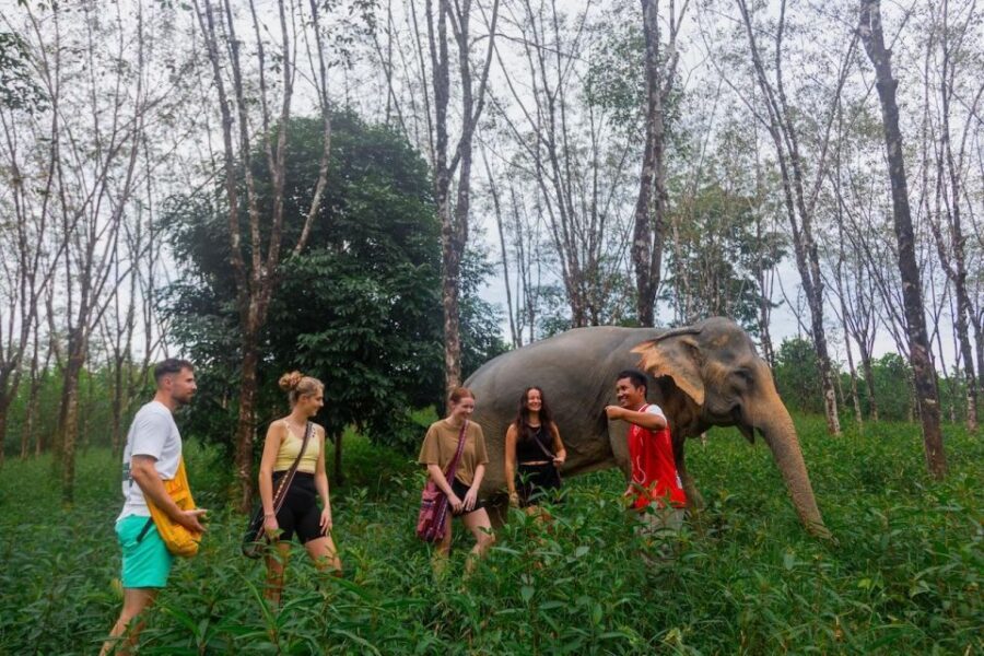Khao Lak: Waterfall,Sea Turtle,Elephant Care,Meal & Transfer - A Detailed Look at What Youll Experience