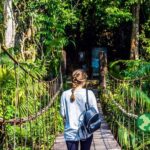 Khao Yai National Park Full Day - Whats Included and What to Expect