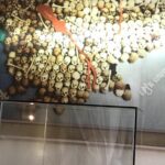 Khmer Rouge, genocide museum &killing field tour - Who Should Consider This Tour?