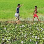 Killing Fields, War Museum and Floating Village ( Mechrey ) - The Floating Village of Mechrey – Life on the Water