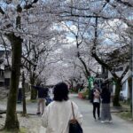 Kimono Experience in Akizuki Castle Town - The Itinerary and Key Stops