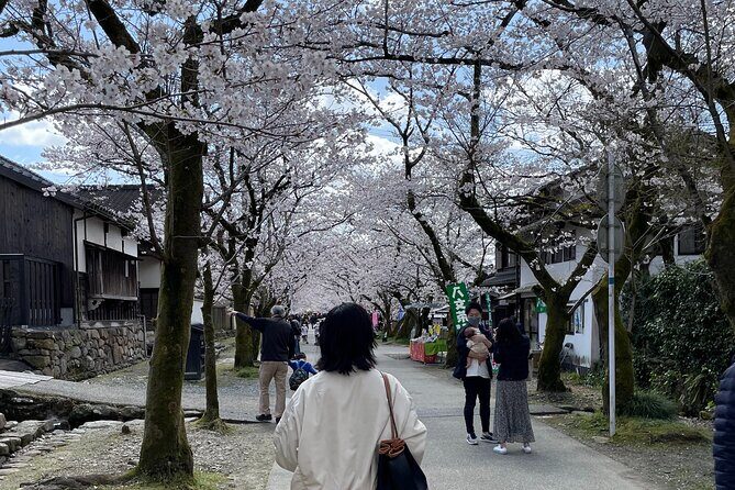 Kimono Experience in Akizuki Castle Town - The Itinerary and Key Stops