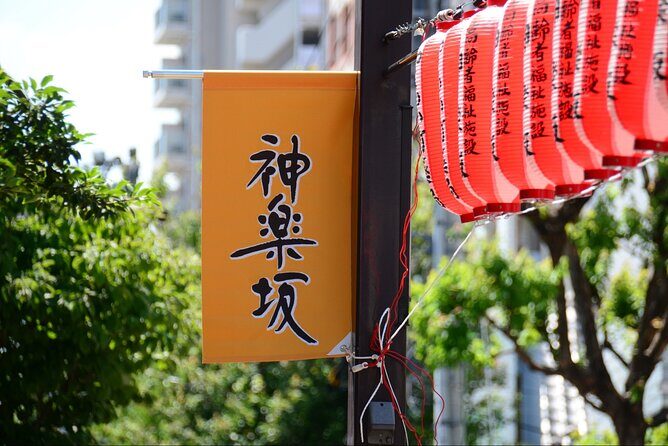 Kimono Photoshoot and Tea House Experience in Kagurazaka - Who Should Consider This Tour?