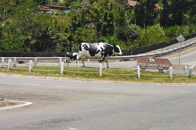 Kinabalu Park And Poring Hot Spring Private Day Tour - What Sets This Tour Apart