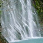 Kirishima Highlights from Kagoshima Port by Private Car - Why This Tour Represents Good Value