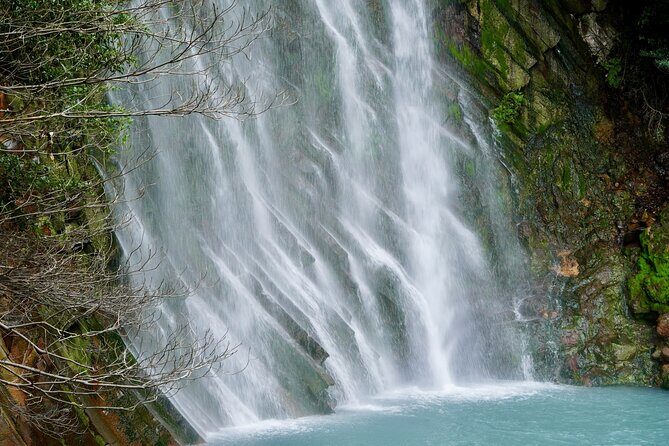 Kirishima Highlights from Kagoshima Port by Private Car - Why This Tour Represents Good Value