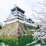 Kitakyushu Day Trip - Final Thoughts: Who Will Love This Tour?