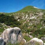 Kitakyushu Half-Day Private Trip with Government-Licensed Guide - FAQs