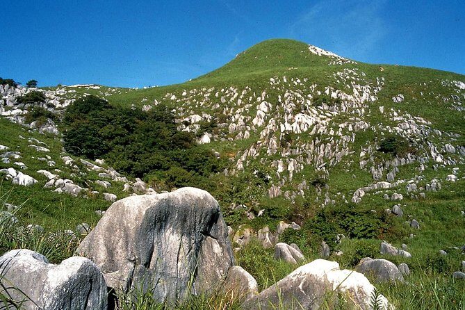 Kitakyushu Half-Day Private Trip with Government-Licensed Guide - FAQs