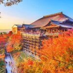 Kiyomizu Temple, Fushimi Inari Taisha: Kyoto & Nara Park Day Tour - Who Would Love This Tour?