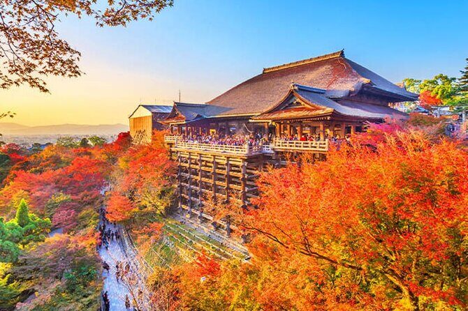 Kiyomizu Temple, Fushimi Inari Taisha: Kyoto & Nara Park Day Tour - Who Would Love This Tour?