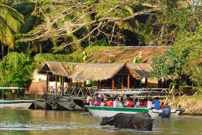 Klias Wildlife Safari River Cruise - Proboscis Monkey & Fireflies - Final Thoughts