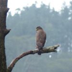 Knuckles Spice Trail Trek from Kandy - What Makes This Tour Special