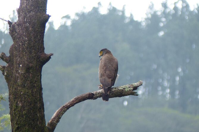 Knuckles Spice Trail Trek from Kandy - What Makes This Tour Special