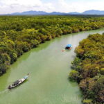 Ko Lanta: Mangrove Forest Boat Tour with Lunch or Dinner - The Value Proposition