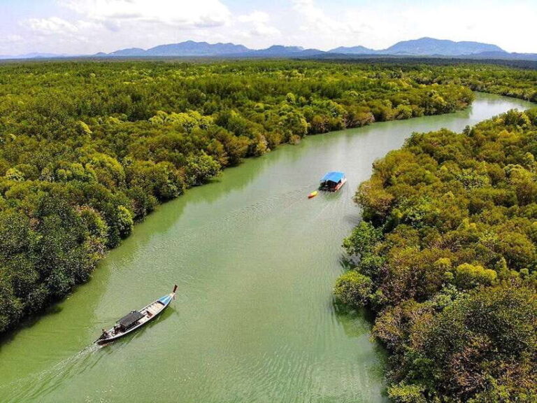 Ko Lanta: Mangrove Forest Boat Tour with Lunch or Dinner - The Value Proposition