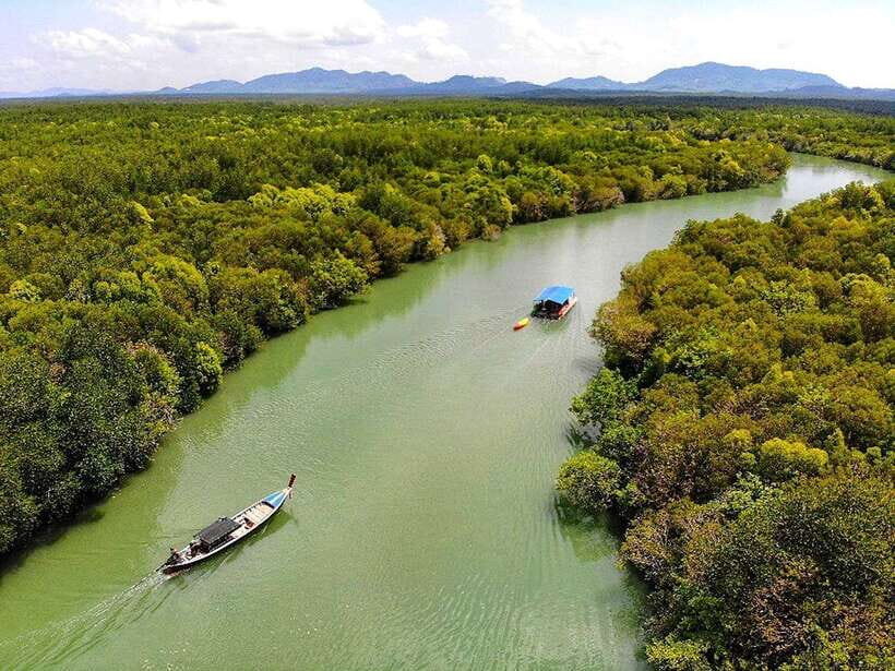 Ko Lanta: Mangrove Forest Boat Tour with Lunch or Dinner - The Value Proposition