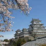 Kobe-Himeji Customize Tour with Pickup and Drop Off - A Detailed Look at the Kobe-Himeji Custom Tour
