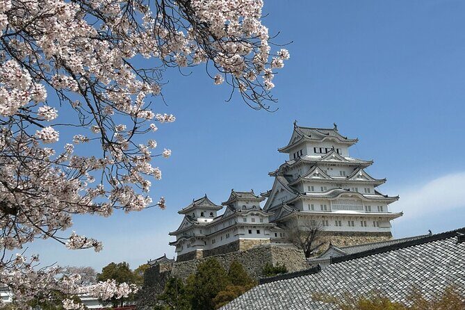 Kobe-Himeji Customize Tour with Pickup and Drop Off - A Detailed Look at the Kobe-Himeji Custom Tour