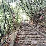 Kobe Nunobiki Falls Morning Guided Hike - Final Thoughts: Why This Tour Is Worth Considering