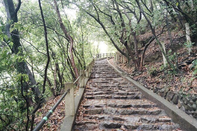 Kobe Nunobiki Falls Morning Guided Hike - Final Thoughts: Why This Tour Is Worth Considering