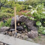 Kobe: Sorakuen Garden Guided Walking Tour 1h - FAQ