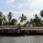 Kochi Private Tour: Overnight Alleppey Backwaters Houseboat Cruise - Day Two: Returning to Kochi