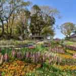 Kochi Private Vehicle Service with Restaurant Reservation - A Detailed Breakdown of the Itinerary