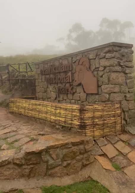 Kochi to Munnar: Eravikulam, Tea Estate and Waterfalls - Who Will Appreciate This Tour?