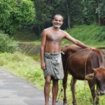 Kochi to Thattekkad - Who Will Enjoy This Tour?