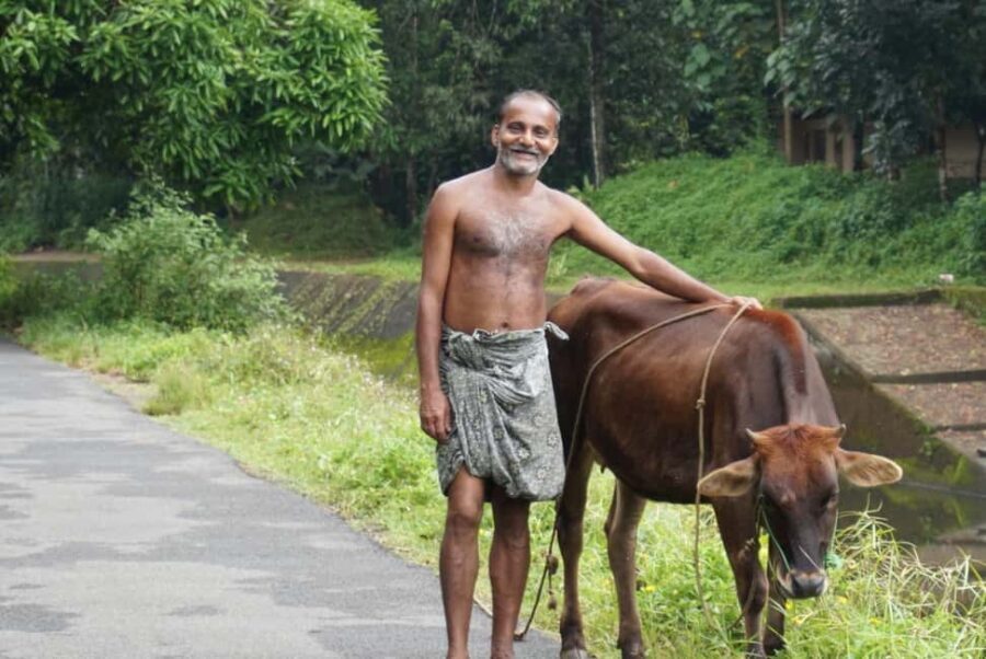 Kochi to Thattekkad - Who Will Enjoy This Tour?