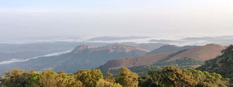 Kodachadri: Summit Trek with forest and cave experience - Practical Tips for Your Trek