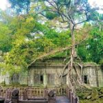 Koh Ker & Beng Mealea Temple Full-Day Private Tour from Siem Reap - Why This Tour Offers Great Value